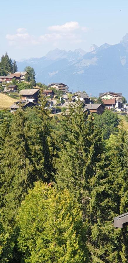 Residence « Les Cretes » Torgon Екстер'єр фото